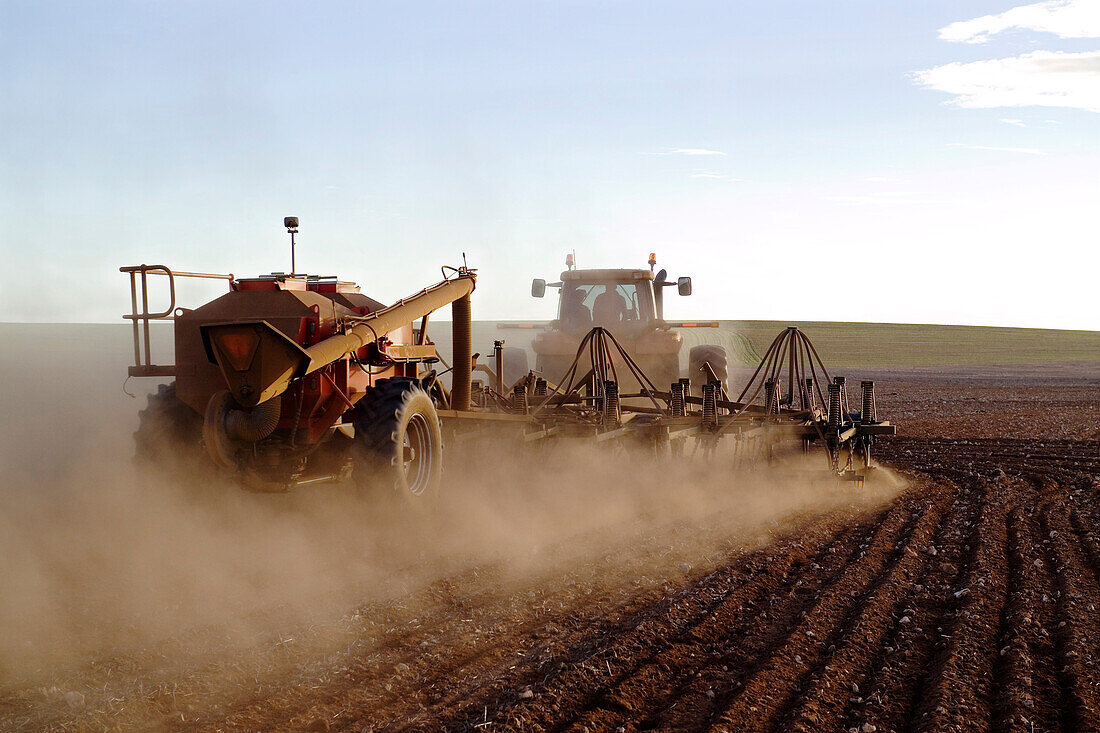 Wheat Sowing, Tractor Pulling Seed Drill, Australia