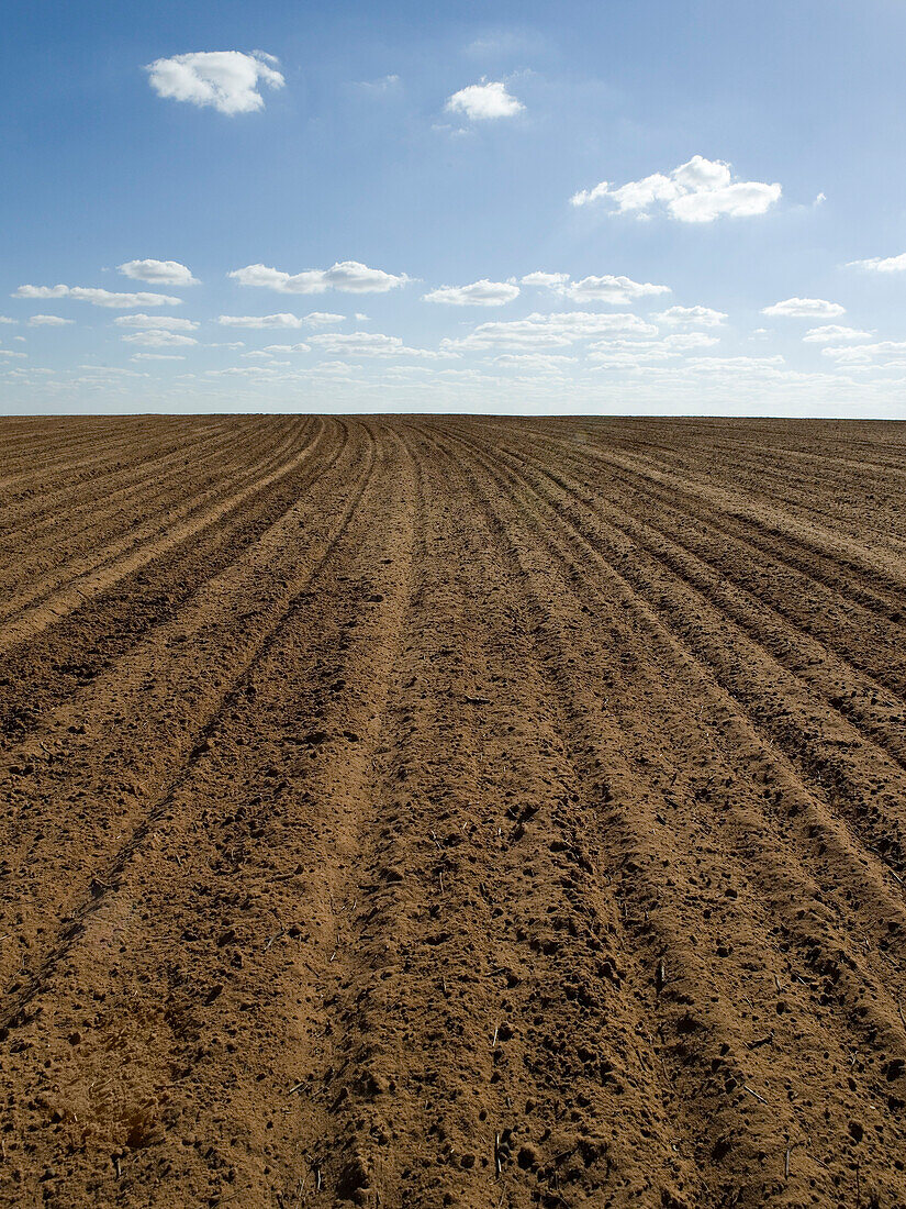 Ploughed Field Ready for Wheat Sowing, Australia