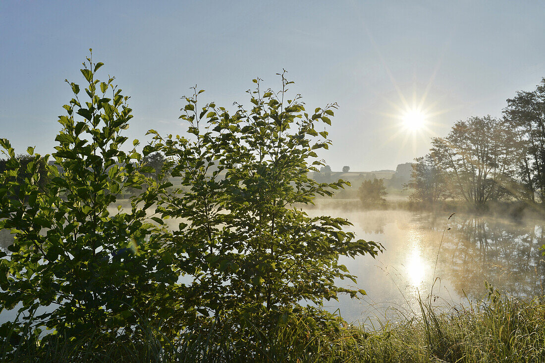 Sonne über dem See im Frühling, Oberpfalz, Bayern, Deutschland