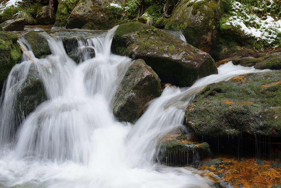 Close-up of waterfalls in forest in spring, Bodenmais, Regen District, Bavarian Forest National Park, Bavaria, Germany