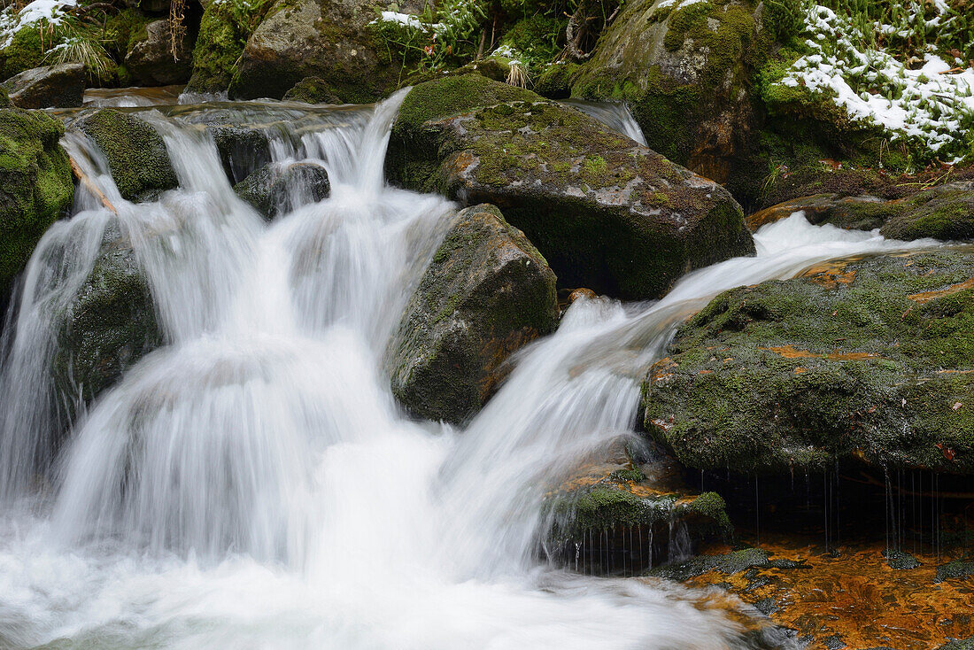 Nahaufnahme von Wasserfällen im Wald im Frühling, Bodenmais, Landkreis Regen, Nationalpark Bayerischer Wald, Bayern, Deutschland