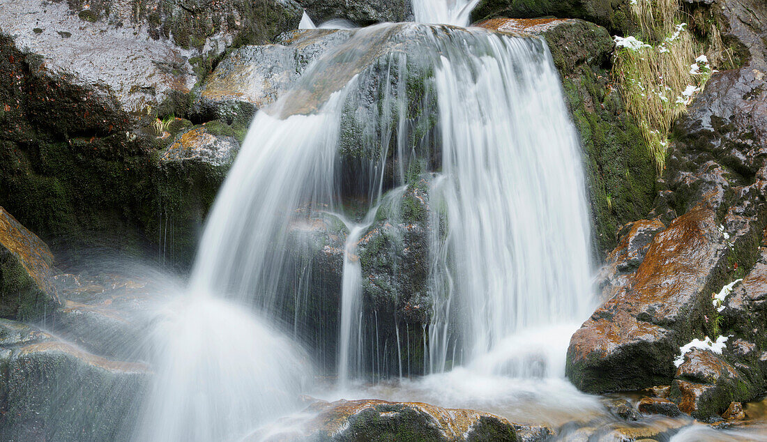Wasserfälle in einem Wald im Frühling, Bodenmais, Landkreis Regen, Nationalpark Bayerischer Wald, Bayern, Deutschland