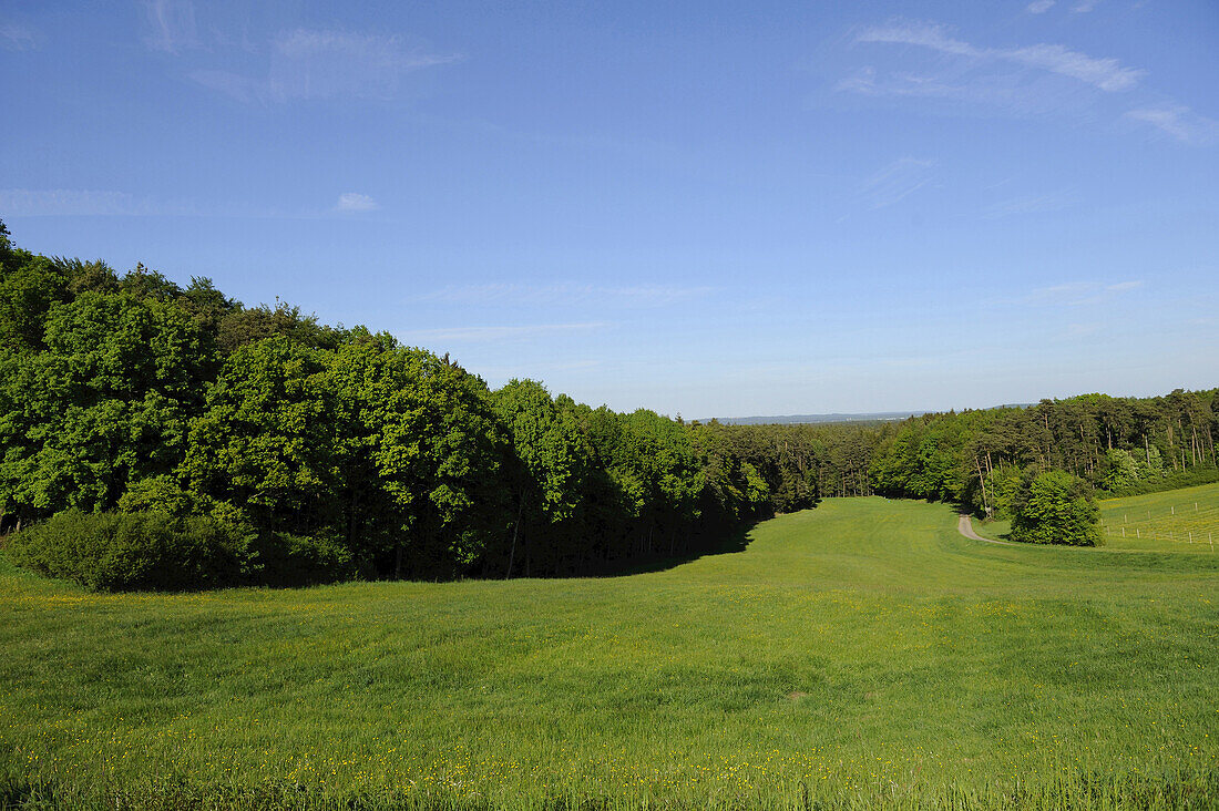 Landscape of bushes, forest and grassland in Upper Palatinate, Bavaria, Germany