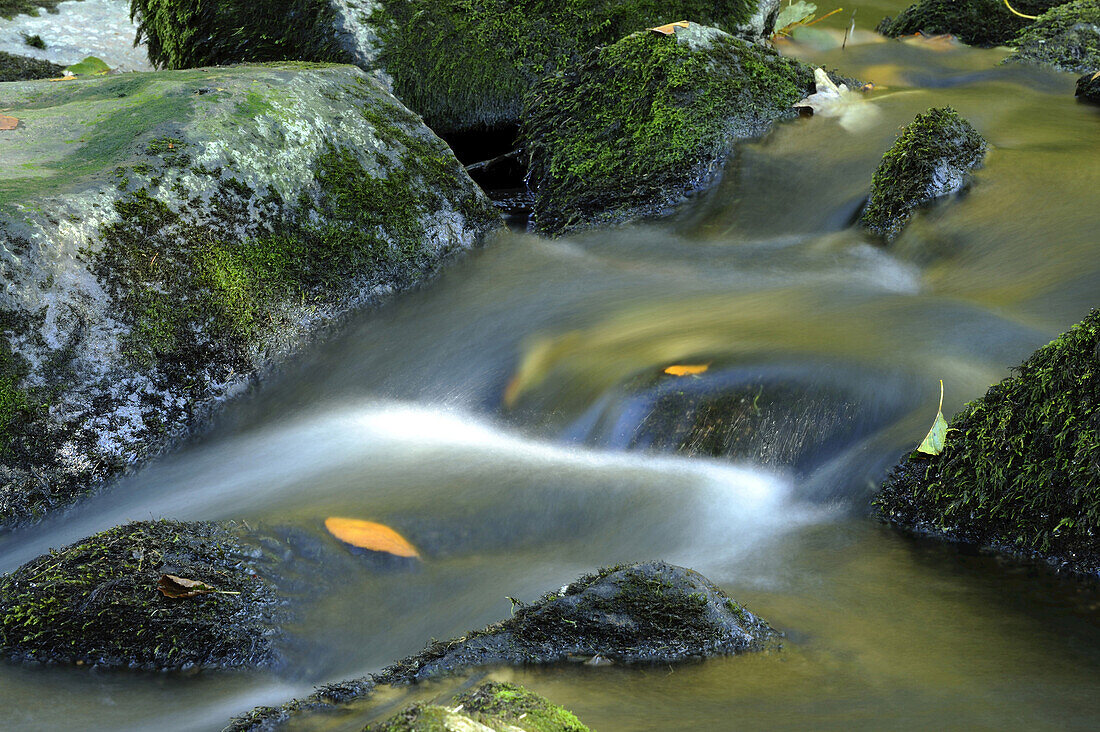 Detail of flowing waters of a little River in autumn in the bavarian forest, Bavaria, Germany.