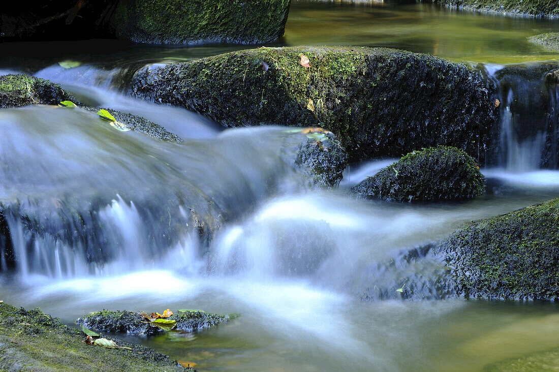 Detail of flowing waters of a little River in autumn in the bavarian forest, Bavaria, Germany.