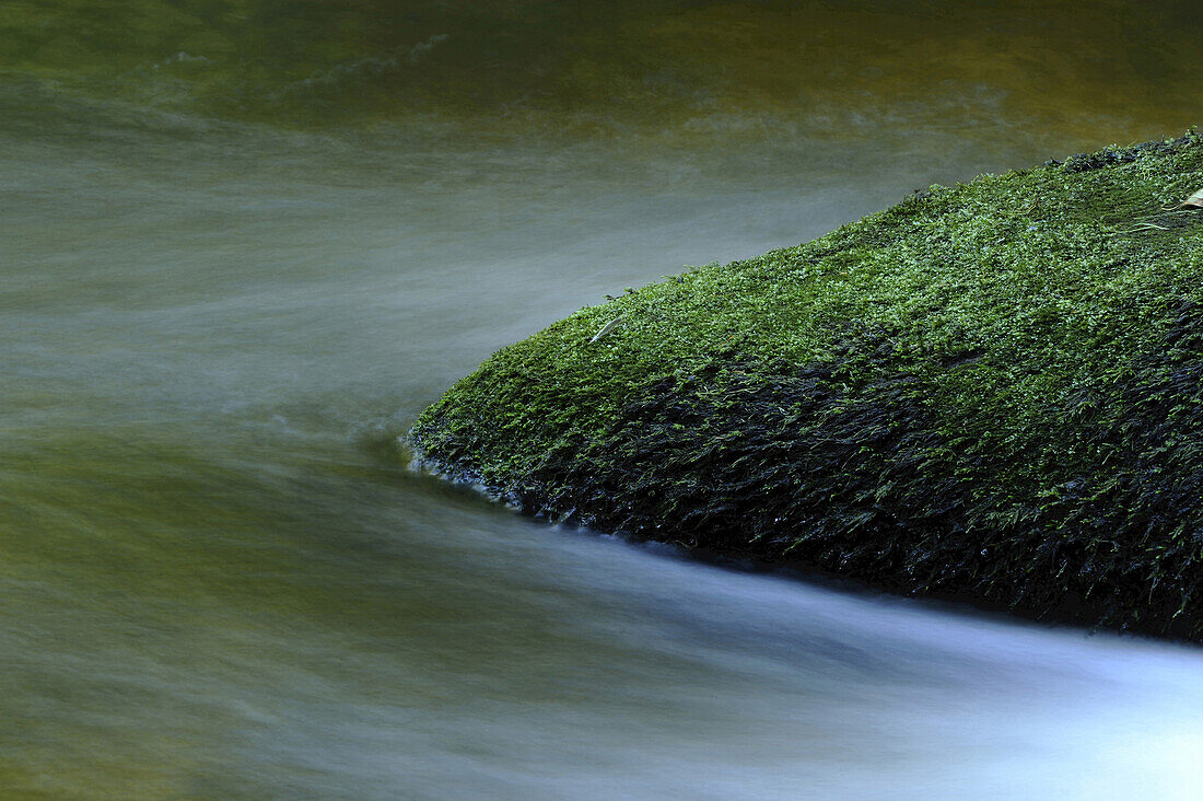 Detail of flowing waters of a little River in autumn in the bavarian forest, Bavaria, Germany.