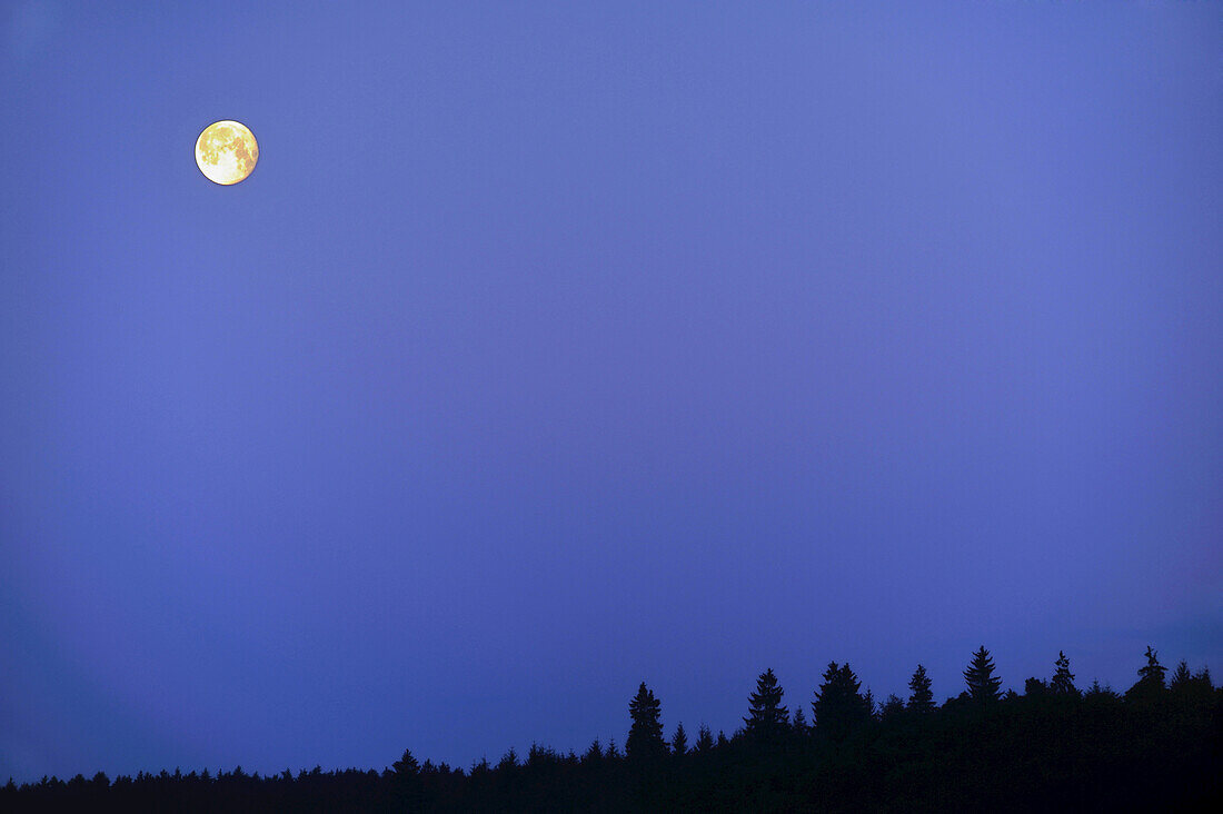 Landscape of a morning in Upper palatinate, Bavaria, Germany.