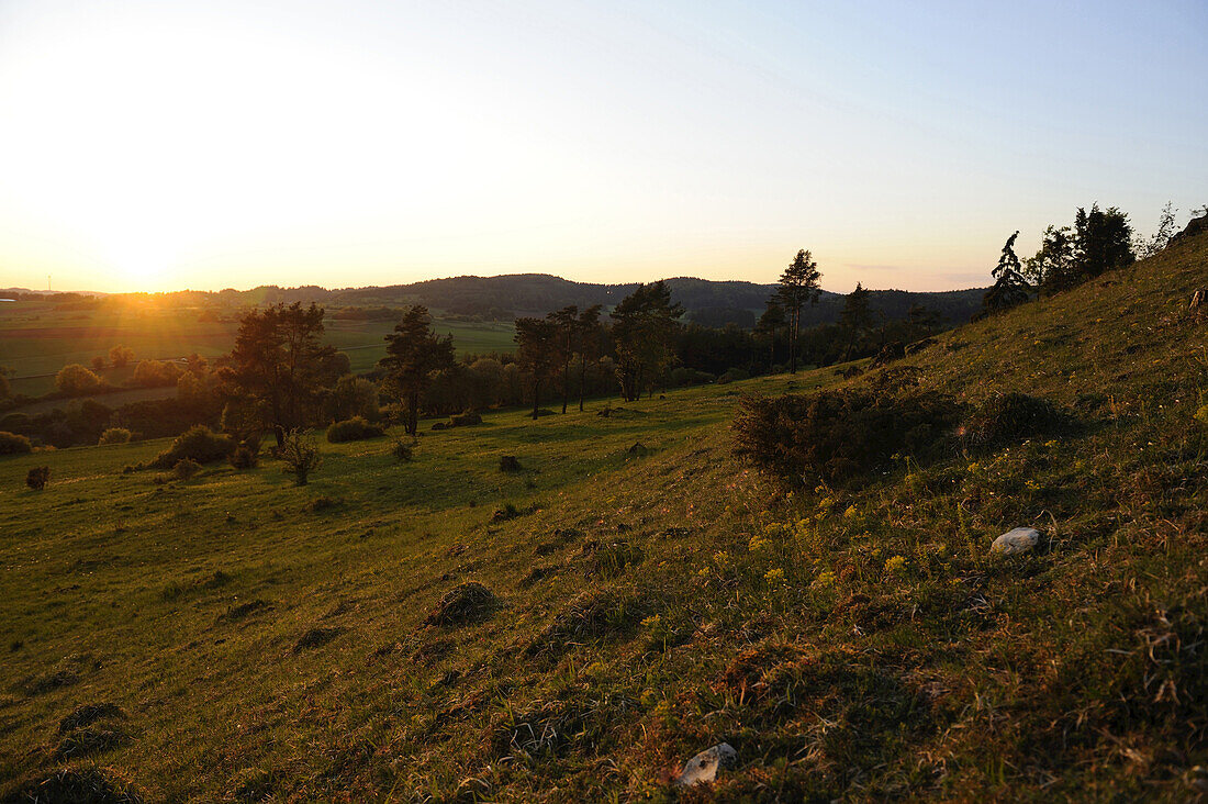 Landscape of bushes, and grassland at sunset in Upper Palatinate, Bavaria, Germany.