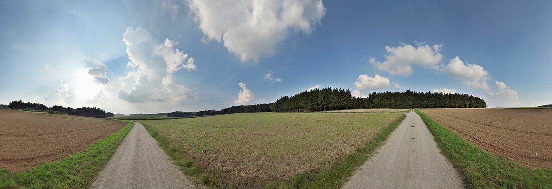 360 Grad Panorama eines Weges durch Felder im Spätsommer, Oberpfalz, Bayern, Deutschland