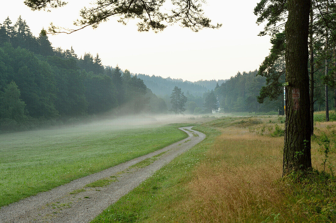 Landschaft mit Weg durch Tal am frühen Morgen im Sommer, Bayern, Deutschland