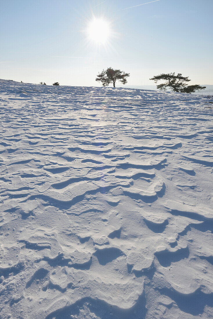 Landscape of Wind Drifts in Snow on Sunny Day in Winter, Upper Palatinate, Bavaria, Germany