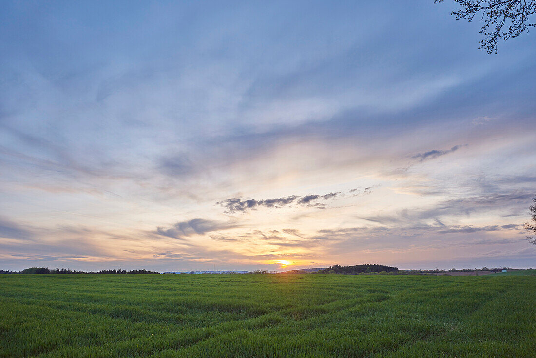 Landschaft mit Sonnenuntergang im Frühling, Oberpfalz, Bayern, Deutschland