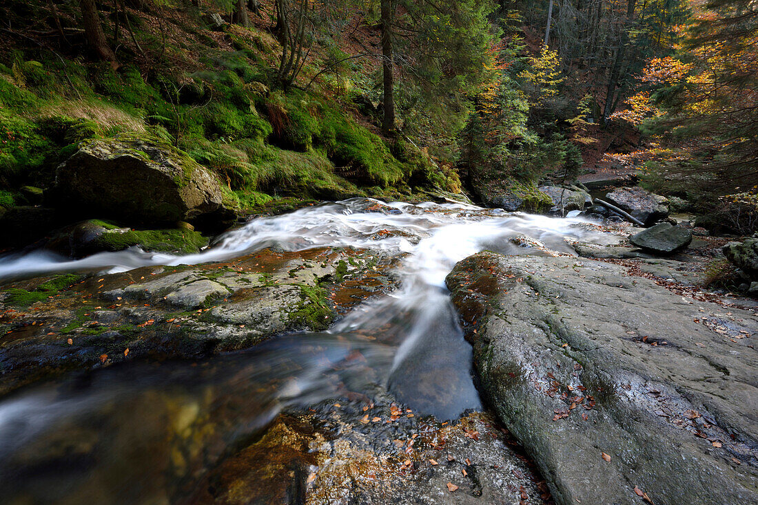 Detail of a stream in autumn, Bavarian Forest National Park, Bavaria, Germany