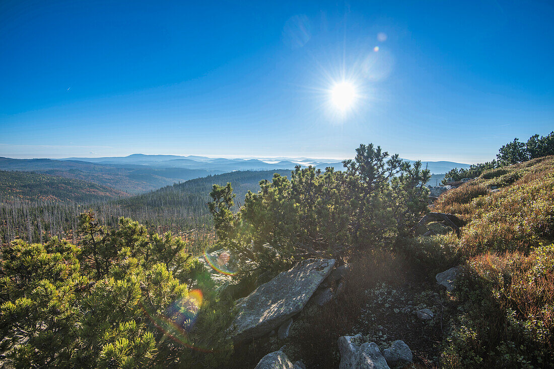 Scenic view of mountain top (Lusen) on a bright, sunny morning, Bavarian Forest National Park, Bavaria, Germany