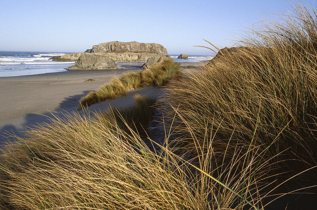 Oregon Coast, USA