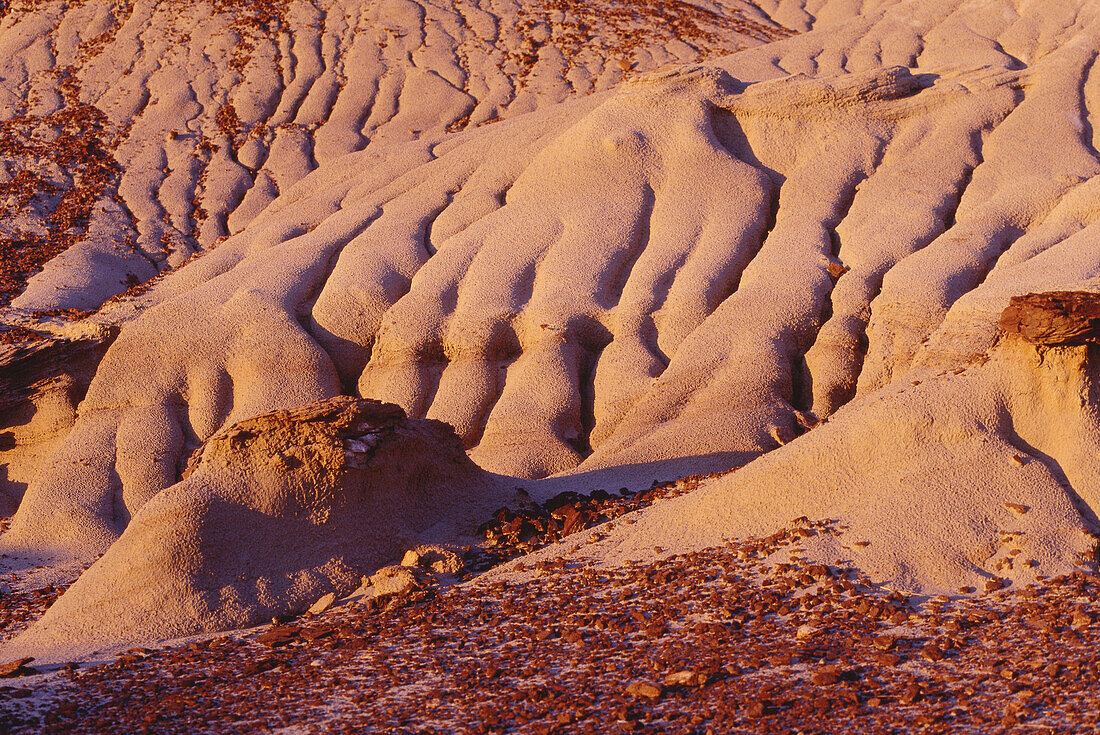 Dinosaur Provincial Park, Alberta, Canada