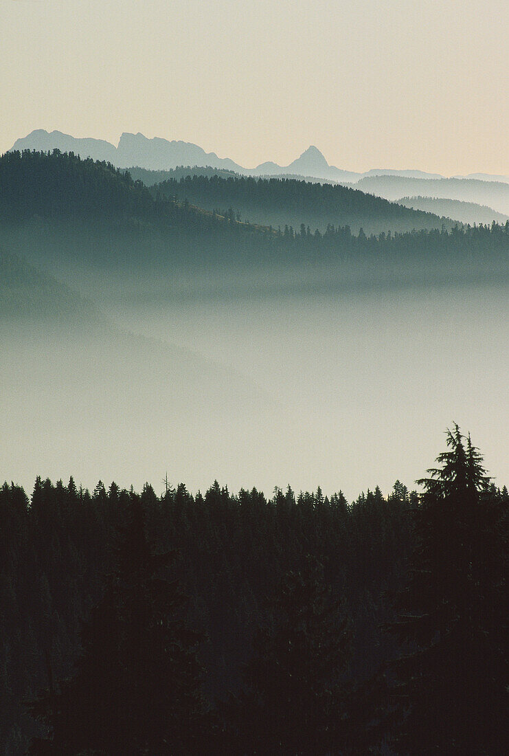 Cypress Bowl, West Vancouver, Britisch-Kolumbien, Kanada