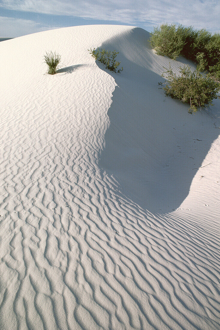 White Sands