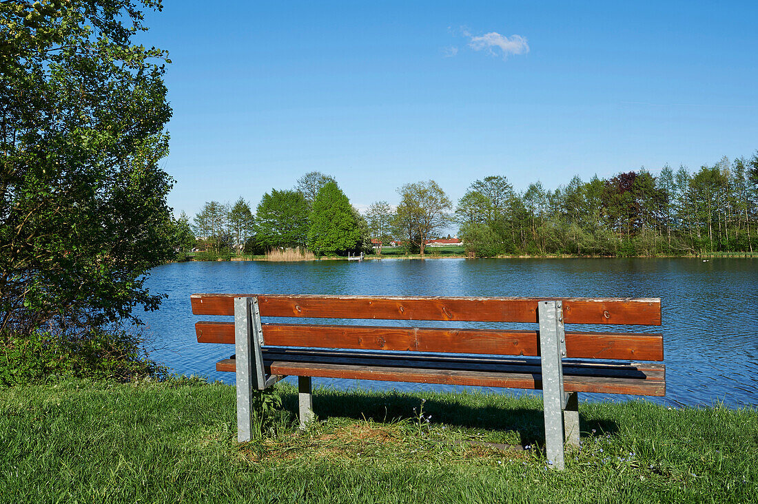 Landscape with Park Bench beside Lake in Summer, Bavaria, Germany