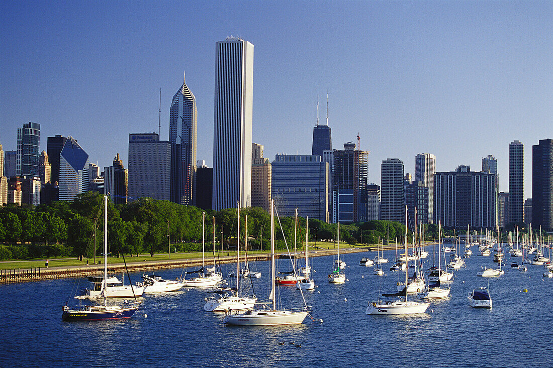 Chicago Skyline, Illinois, USA