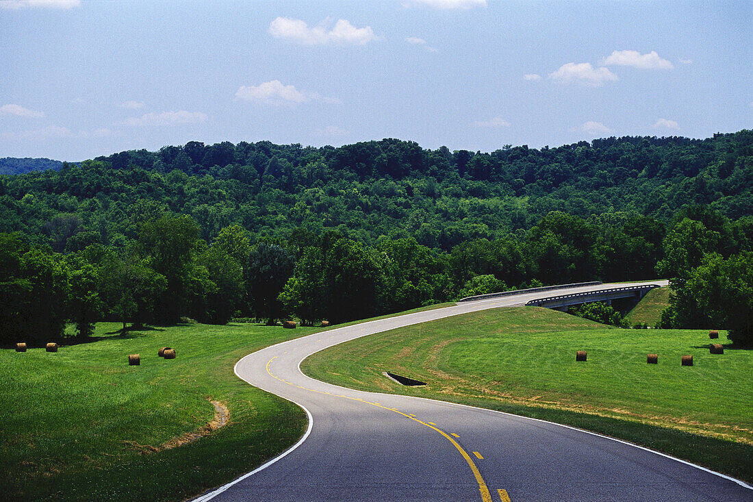 Road and Landscape