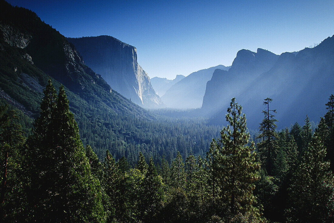 Yosemite National Park, California, USA