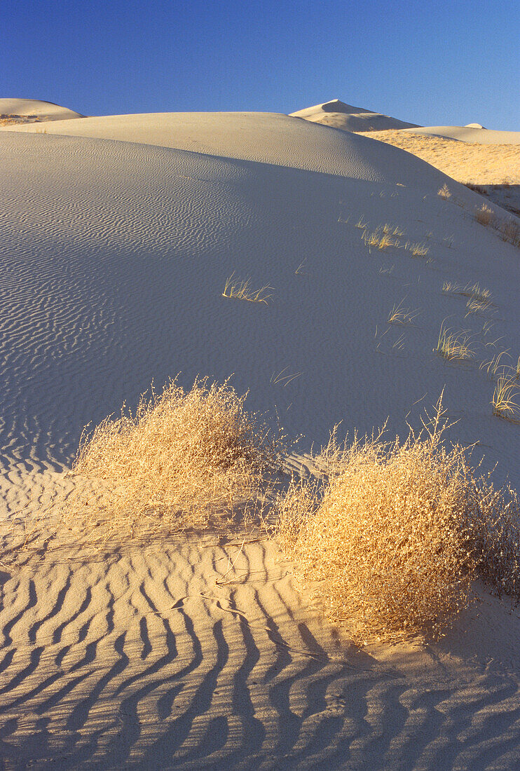 Kelso Dunes, California, USA