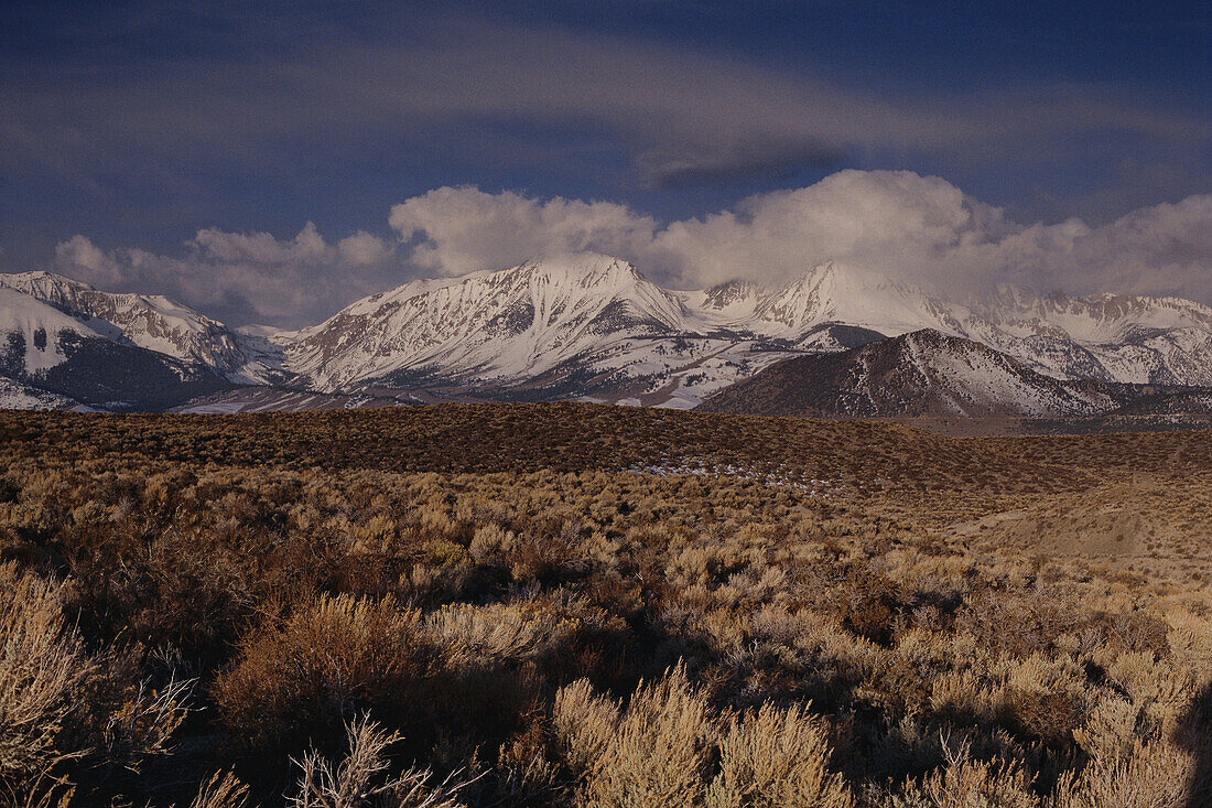 Eastern Sierras, Sierra Nevada Mountains, California, USA