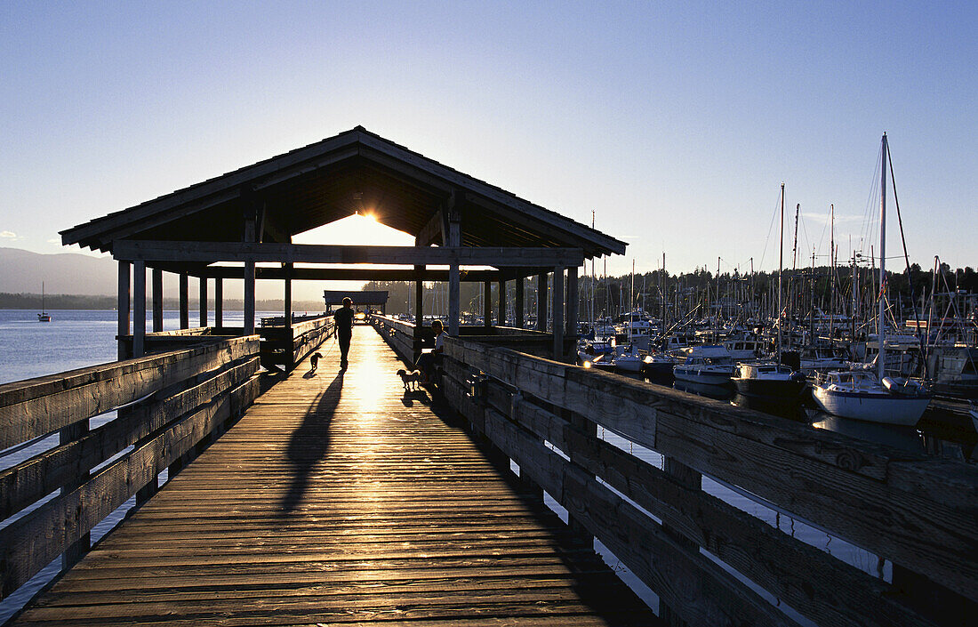 Marina Dock, Vancouver Island, British Columbia, Canada