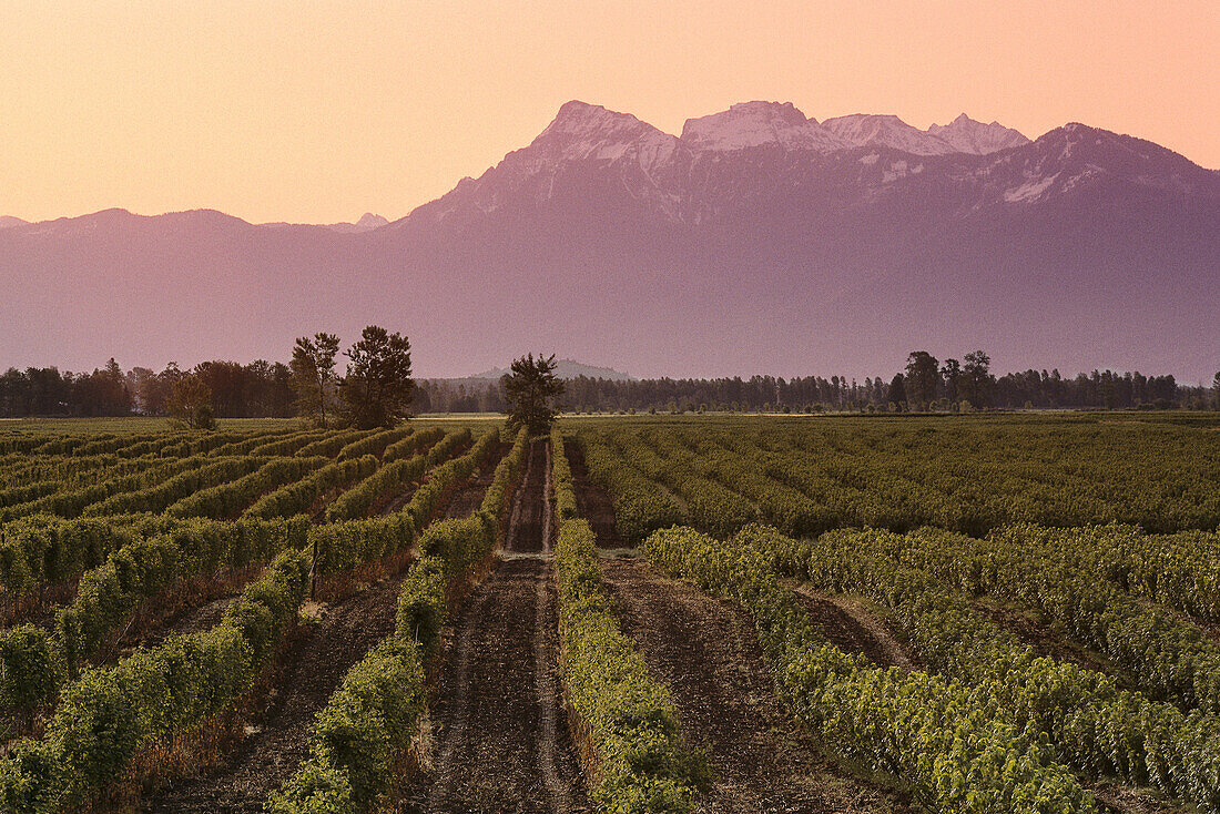 Eastern Fraser Valley British Columbia, Canada