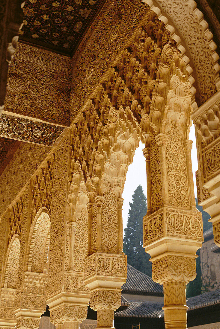 Alhambra Granada, Spain