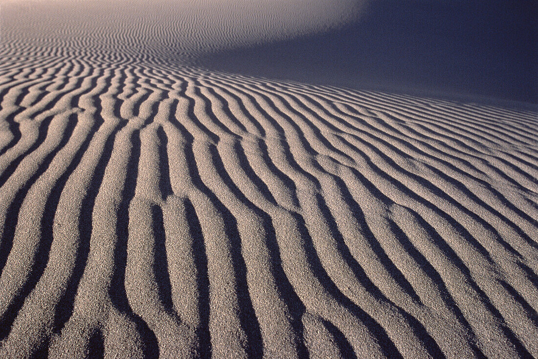 Sand Dunes Colorado, USA