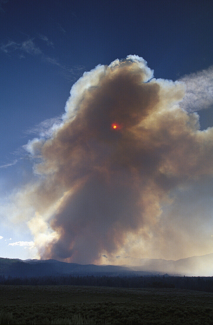 Waldbrand