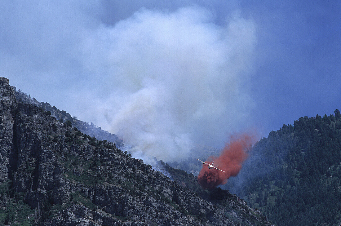 Landschaft und Rauch eines Waldbrandes mit Löschflugzeug