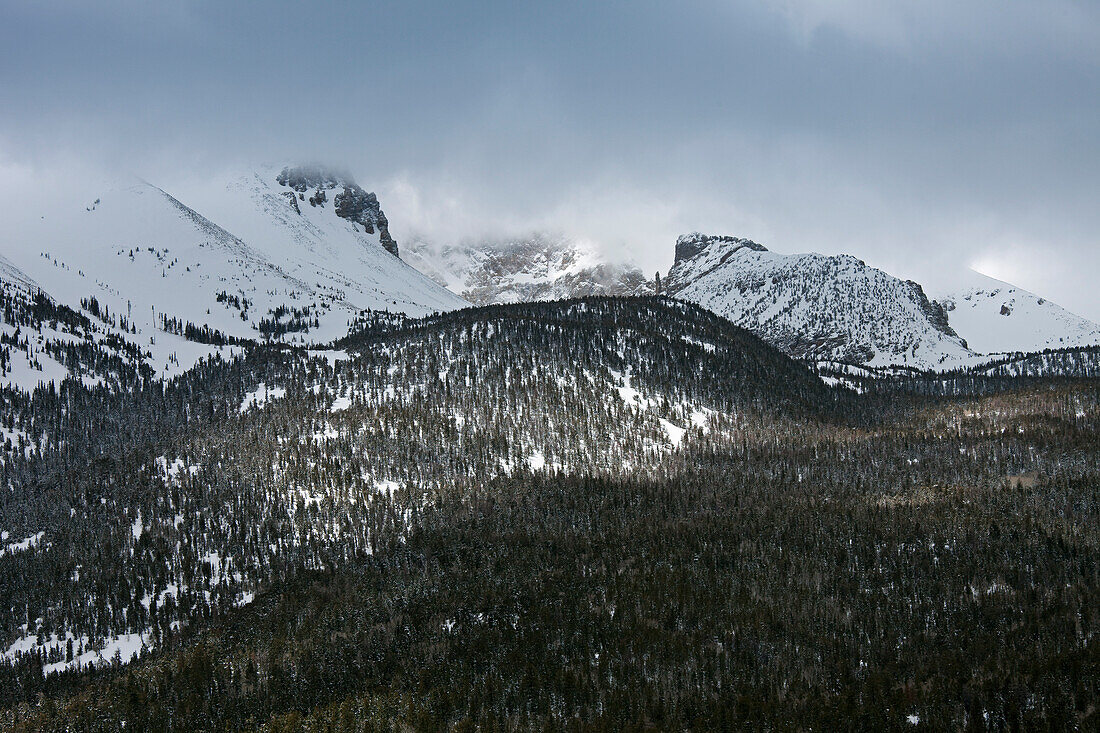 Great Basin National Park, Nevada, USA