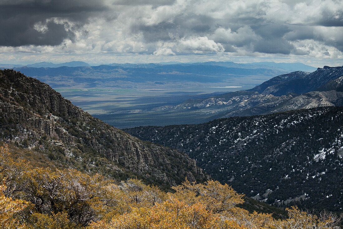 Great Basin National Park, Nevada, USA