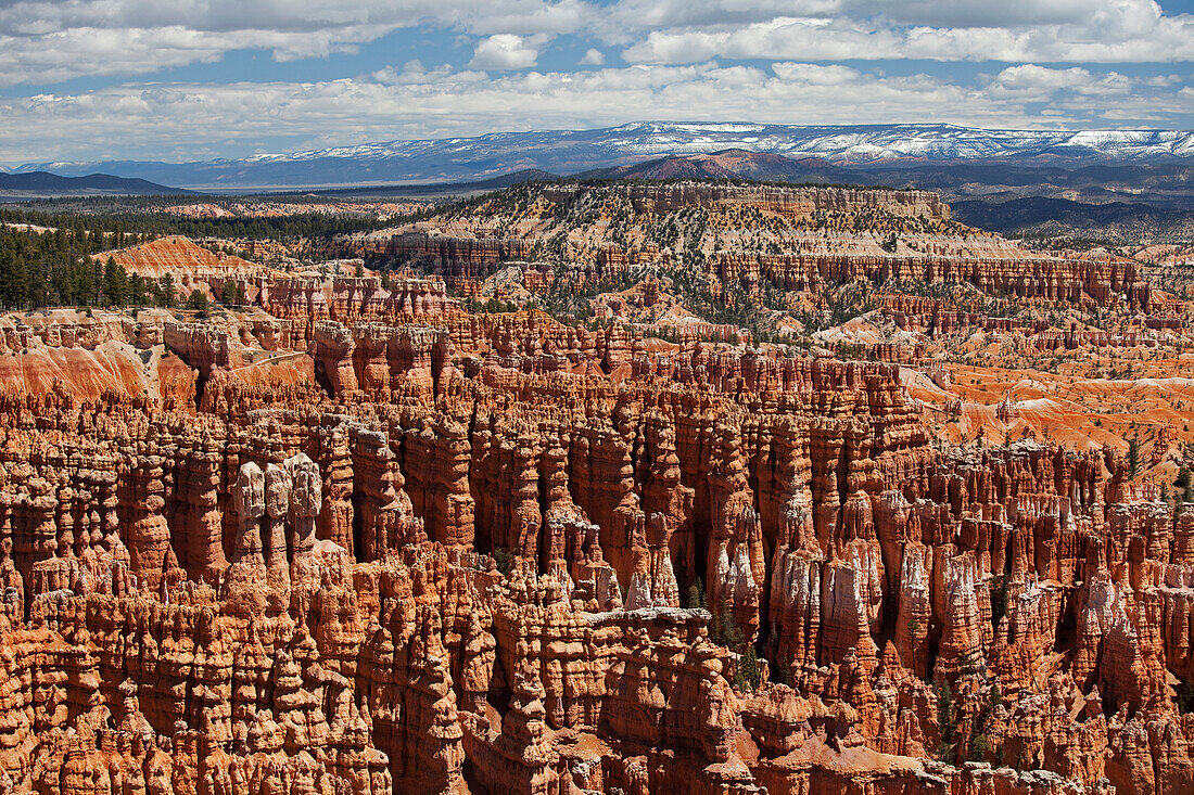 Bryce Canyon National Park, Utah, USA