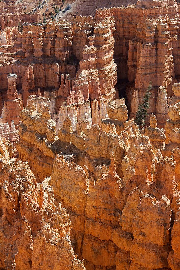 Bryce Canyon National Park, Utah, USA