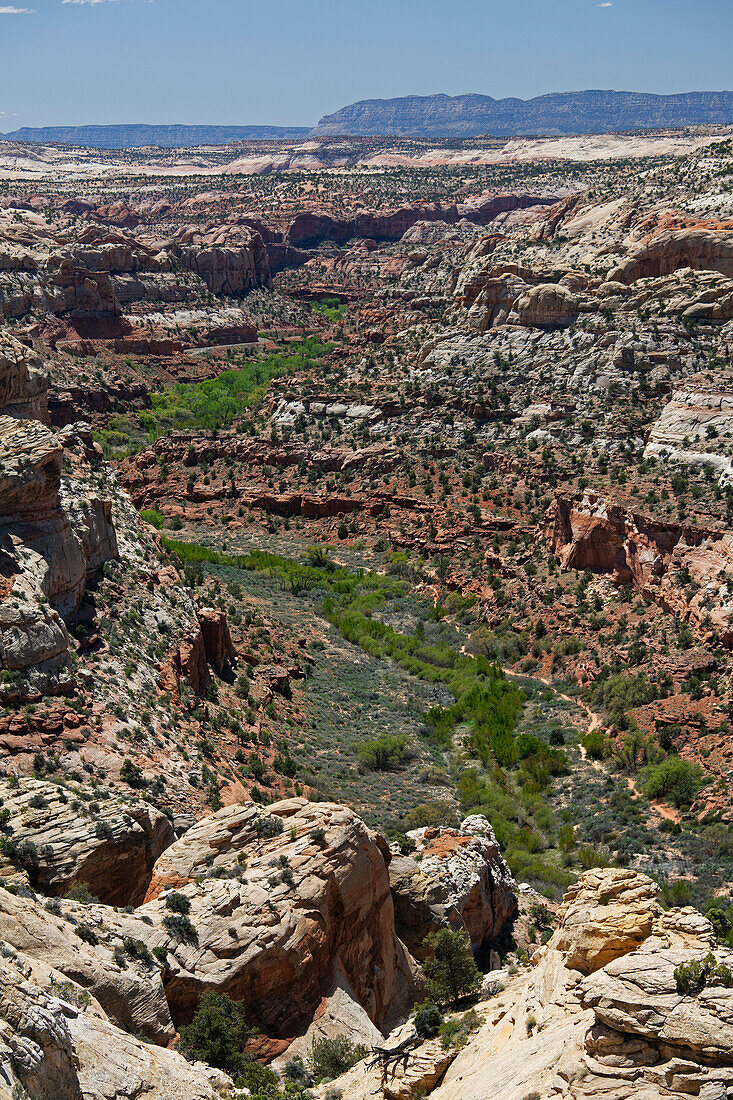 Grand Staircase Escalante National Monument, Utah, USA