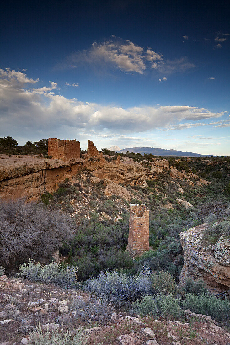 Quadratischer Turm und Burg Hovenweep, Little Ruin Canyon, Hovenweep National Monument, Utah, USA