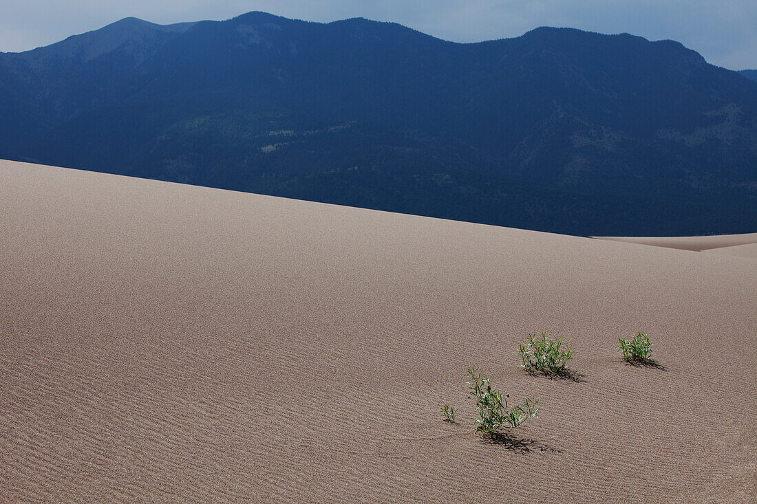 Great Sand Dunes National Park, Colorado, USA.