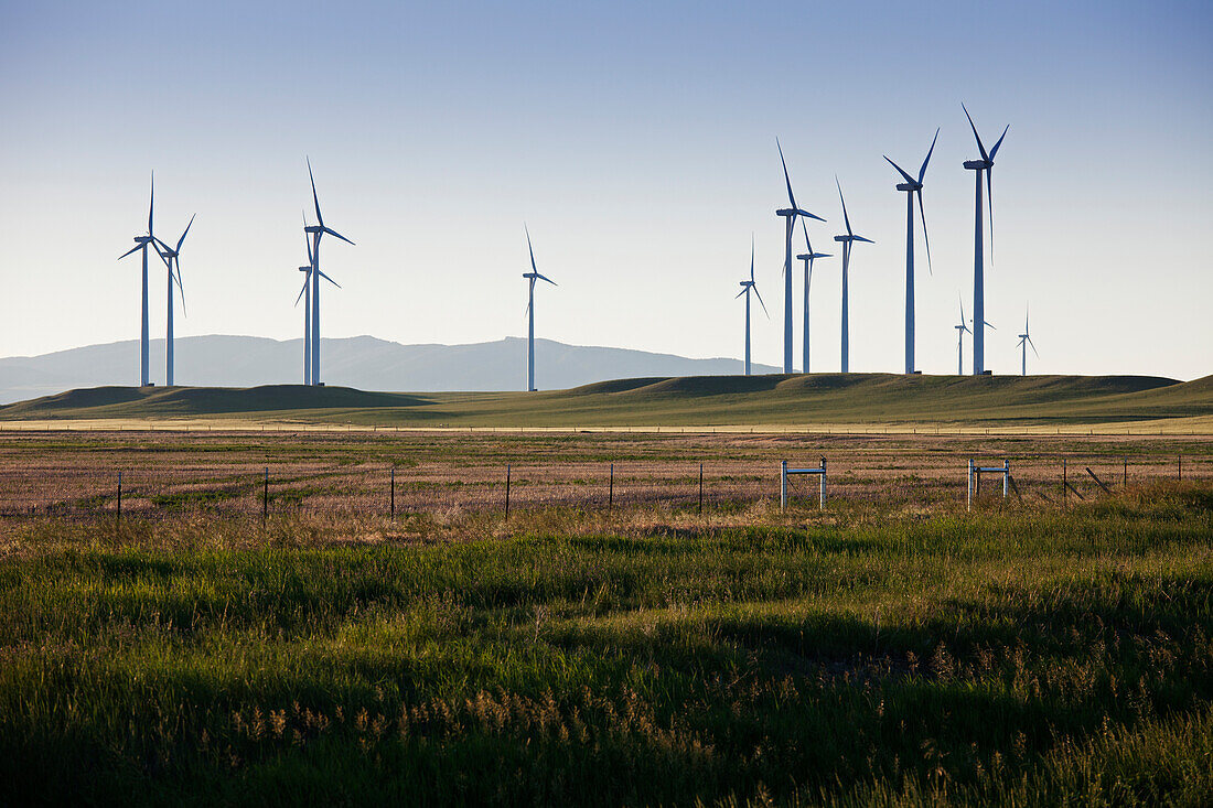 Windkraftanlagen auf einem Feld, Montana, USA.