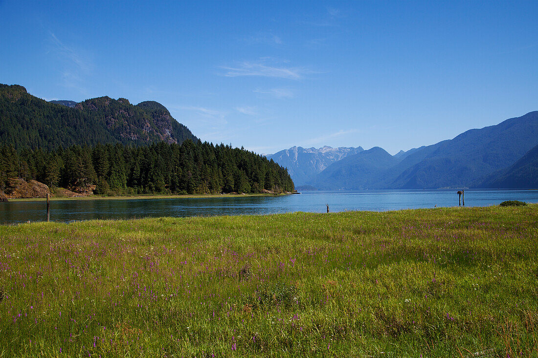 Malerische Landschaft, Pitt Lake, Pitt Meadows, British Columbia, Kanada