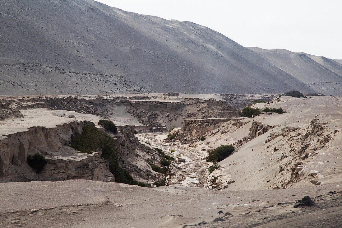 Peru's Largest Earthquake Faultline