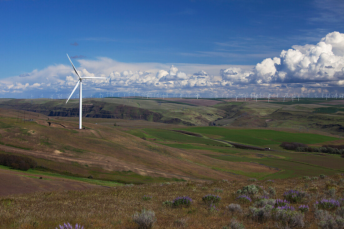 Wind Farm, Southeast Washington, USA