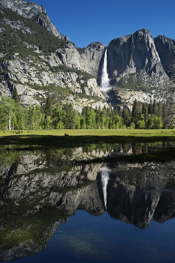 Yosemite Falls spiegeln sich im Merced River im Yosemite National Park in Kalifornien, USA
