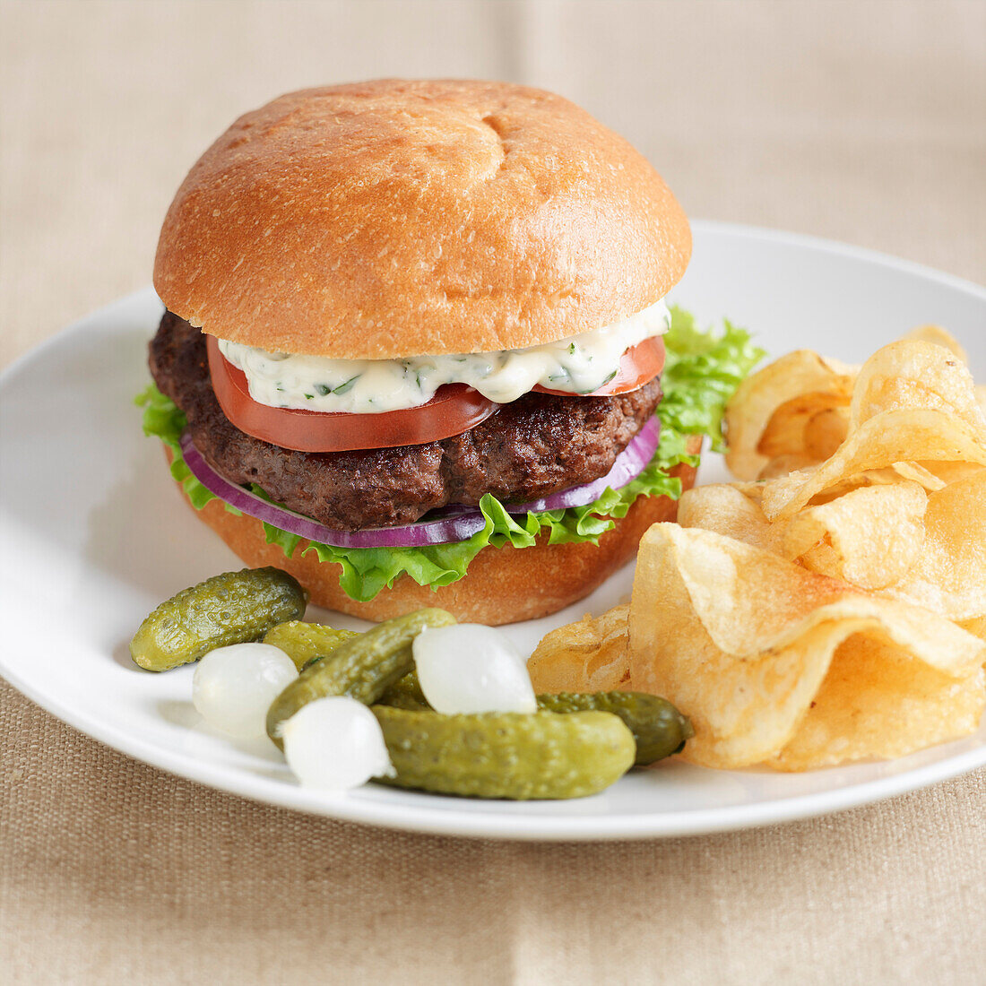 Hamburger and Potato Chips