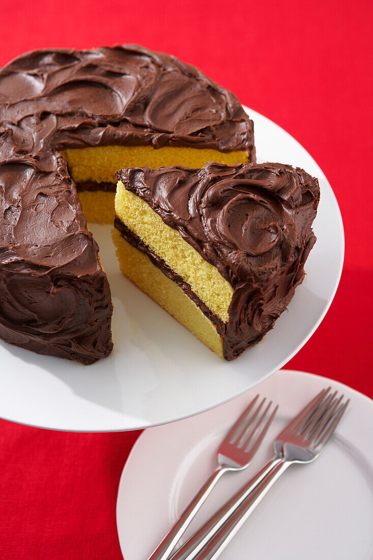 Cake with Chocolate Icing