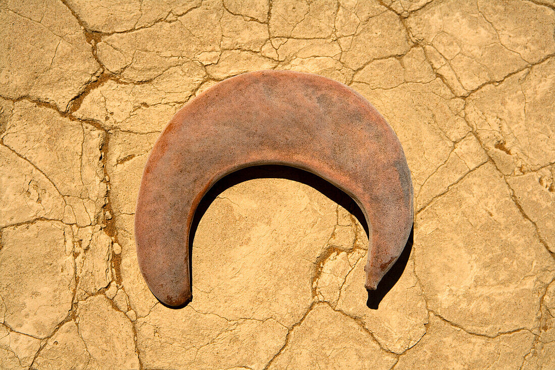 Getrocknete Früchte auf dem Boden, Namib-Naukluft National Park, Namibia