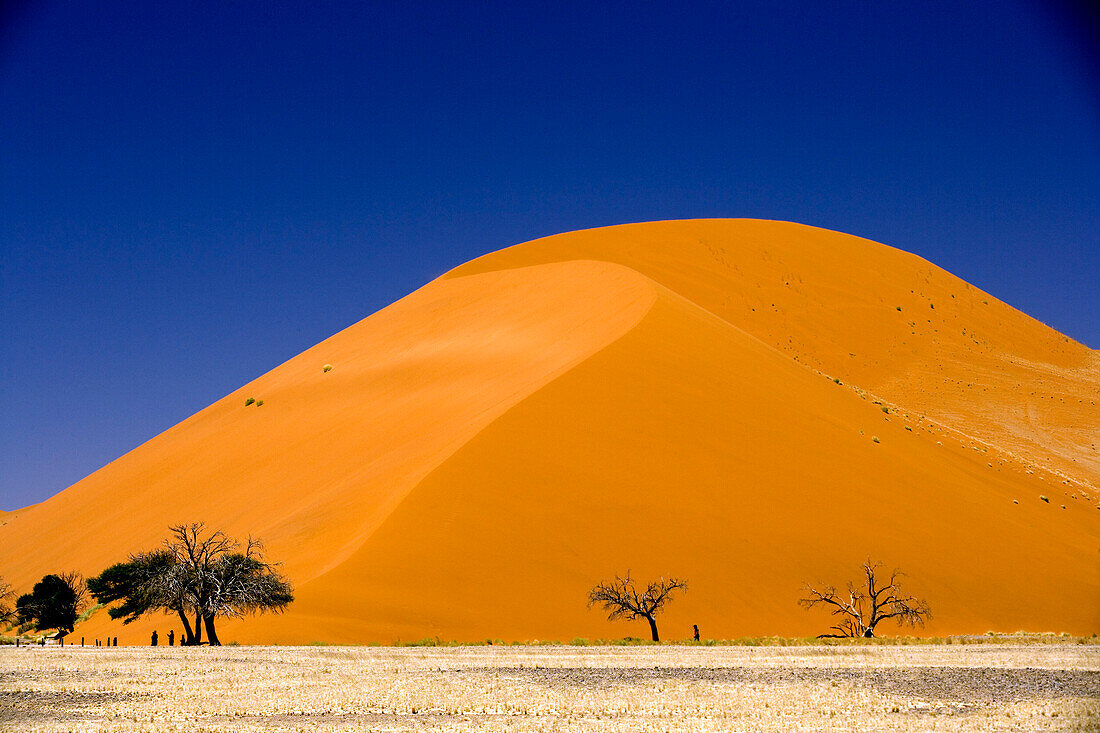 Sand Dune, Namib-Naukluft National Park, Namibia